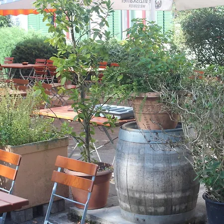 Guest house Gasthof Lowen Bassersdorf